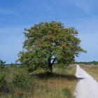 Z72_3791