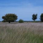 Z72_3793
