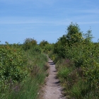 Z72_3794