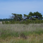 Z72_3811