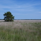 Z72_3813