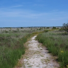 Z72_3837
