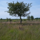 Z72_3845