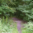 Z72_3954
