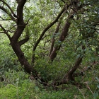 Z72_3977
