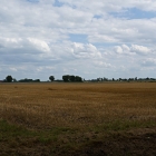 Z72_3987