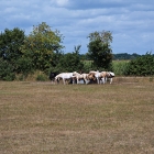 Z72_4005