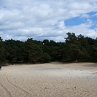Z72_4026