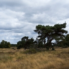 Z72_4035