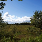 Z72_4082