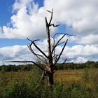 Z72_4085