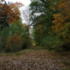 Z72_4384