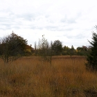 Z72_4403