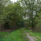 Z72_4455