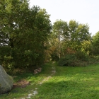 Z72_4478