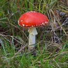Z72_4263