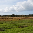 Z72_4272