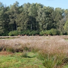 Z72_4275