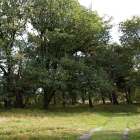 Z72_4295