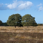 Z72_4319