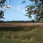 Z72_4320
