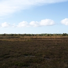 Z72_4326