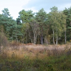 Z72_4251