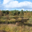 Z72_4256
