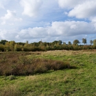 Z72_4257