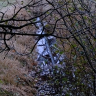XH2A0225