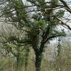 Z72_4972