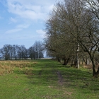 Z72_4983