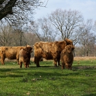 Z72_4992
