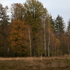 Z8A_0257