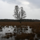 Z8A_0289