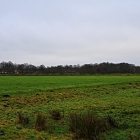 Z8A_0365
