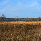 Z8A_0325