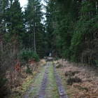 Z8A_0846