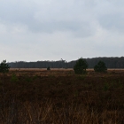 Z8A_0860