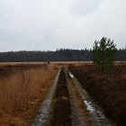 Z8A_0863