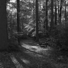NZF_0012
