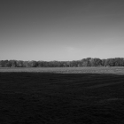 NZF_0022