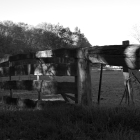 NZF_0024