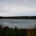 NZF_0122