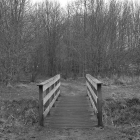 NZF_0275