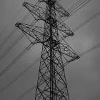 NZF_0276