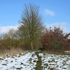NZF_0505