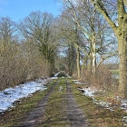 NZF_0514