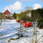 NZF_0527