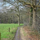 NZF_0540